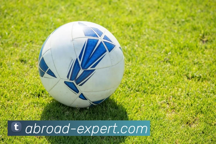 华体会体育APP 封面图